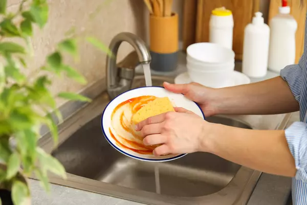 Female hands wash dishes in the sink Female hands wash dishes in the sink