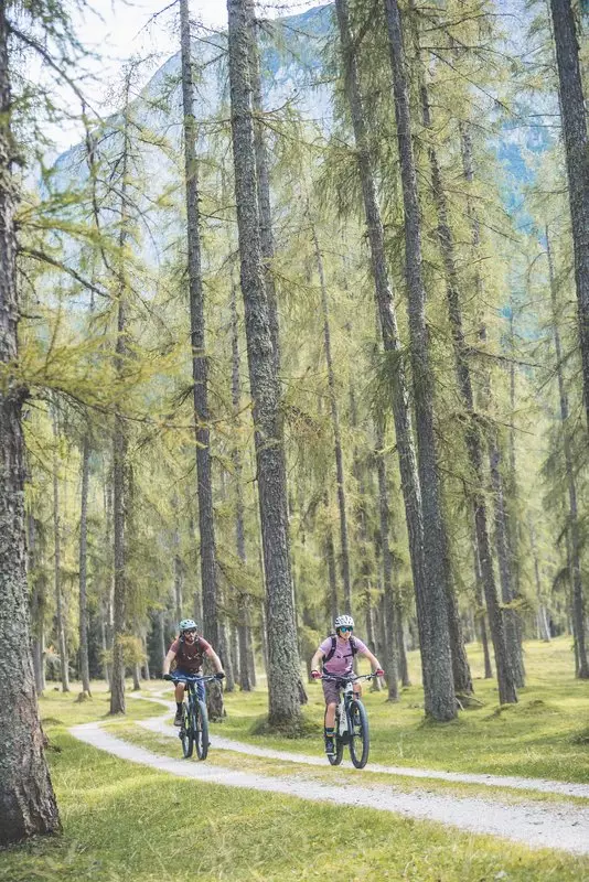 Randfahrer im Lärchenwald Zugspitzarena